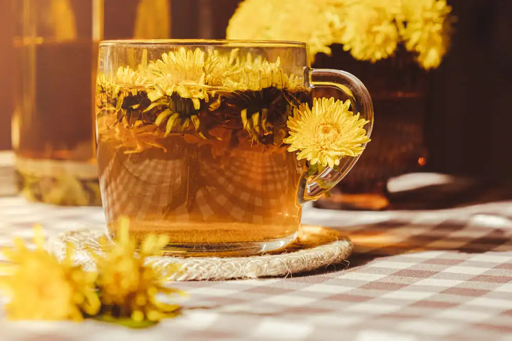 Autumn Tea | Commercial Dehydrators