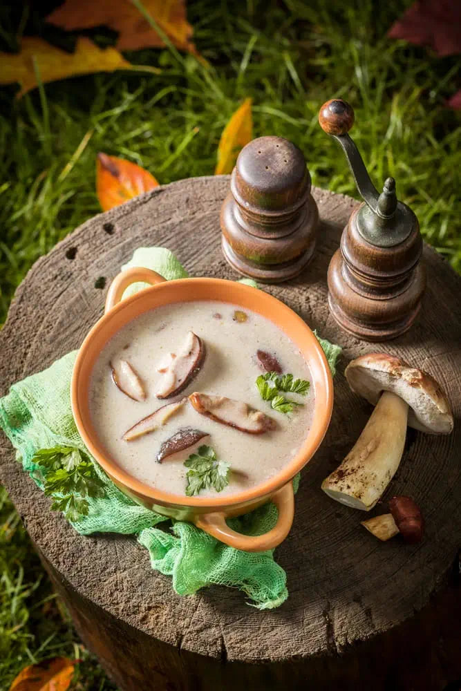 Cream Of Mushroom Soup | Commercial Dehydrators