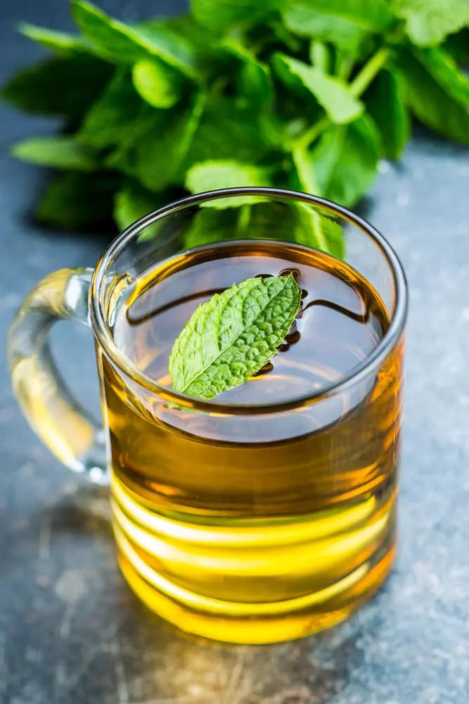 Spearmint and Dandelion Tea | Commercial Dehydrators