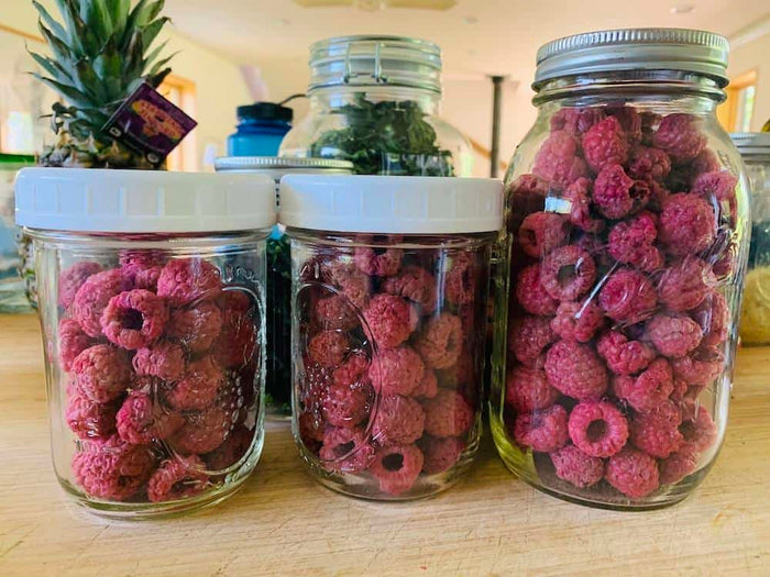 Dehydrated raspberries stored in jars
