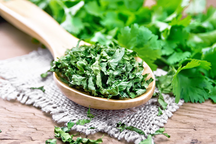 Dehydrated cilantro