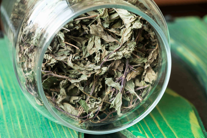 Dehydrated spearmint