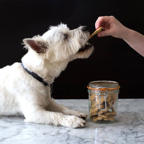Food safety for dehydrated pet treats