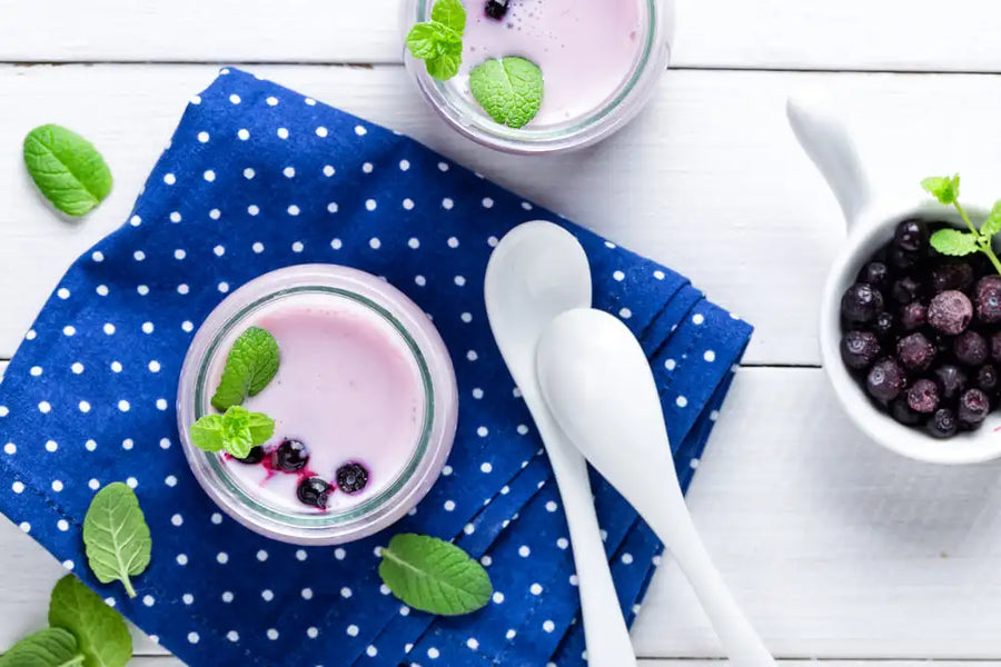 Banana and Blueberry Baby Food | Commercial Dehydrators