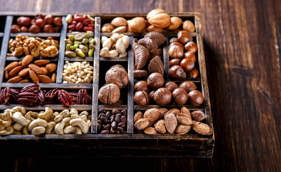 Basic Soaked Nuts | Commercial Dehydrators