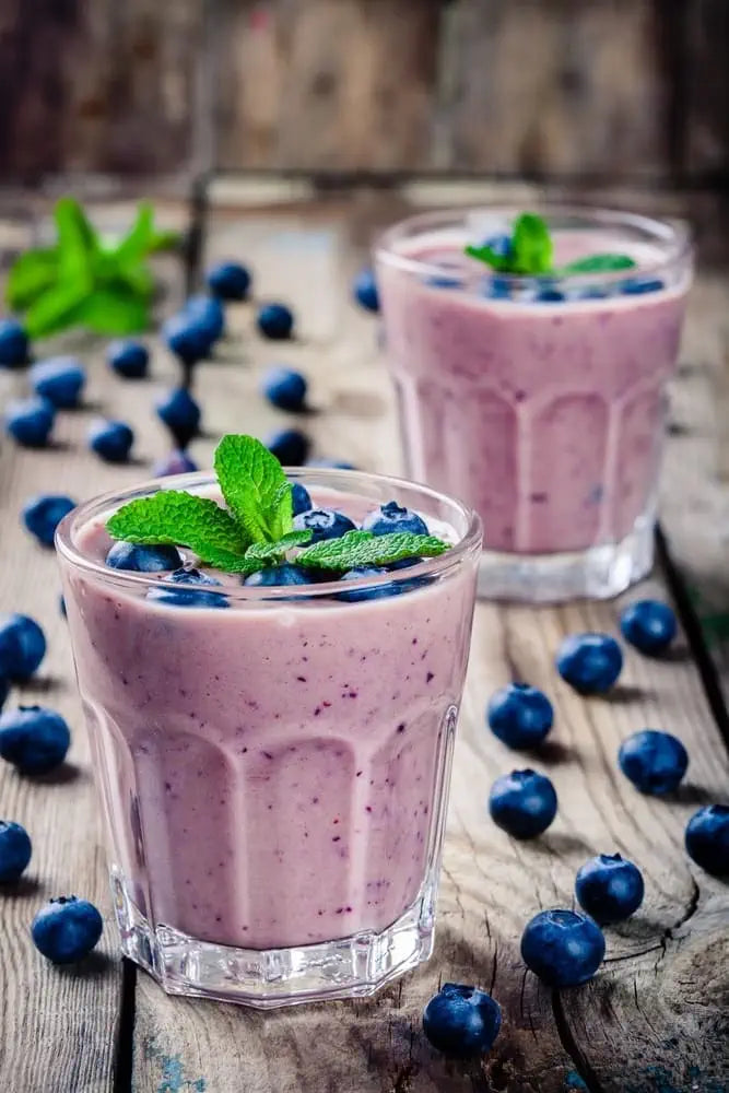 Blueberry Smoothie | Commercial Dehydrators