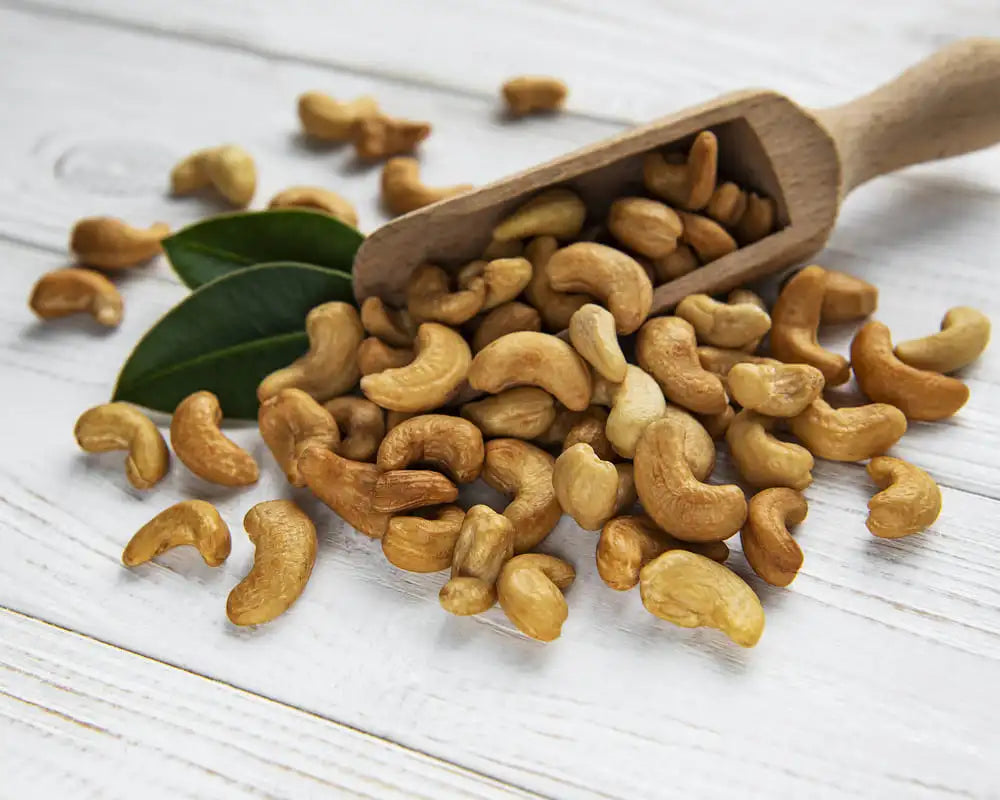 Dried Cashew Crunchy | Commercial Dehydrators