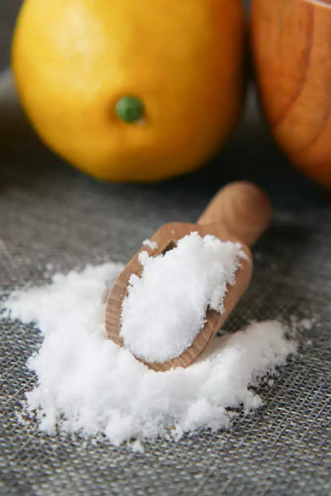 Lemon Salt | Commercial Dehydrators
