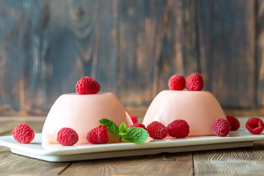 Raspberry-Coconut Pudding | Commercial Dehydrators