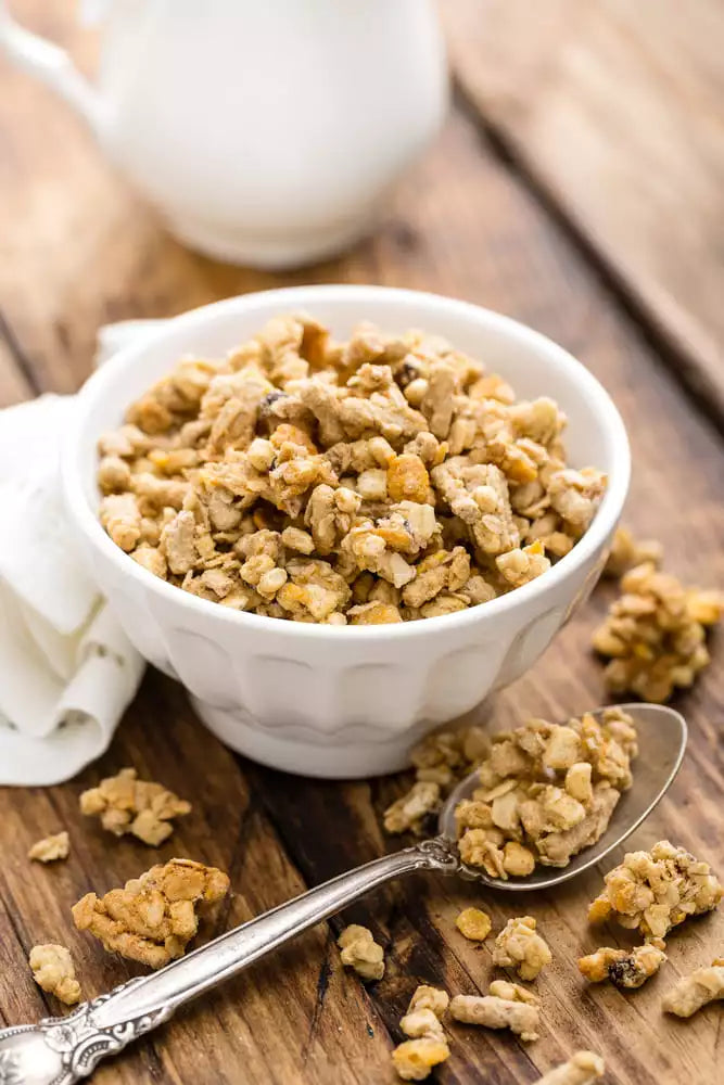 Raw Granola | Commercial Dehydrators