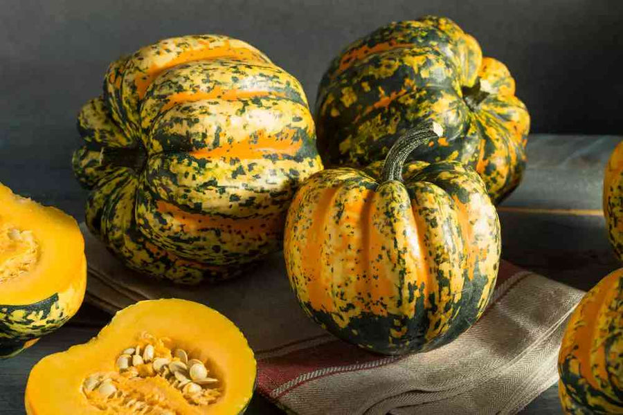 Dehydrated Acorn Squash