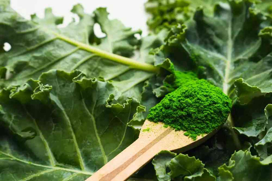 Powdered Kale