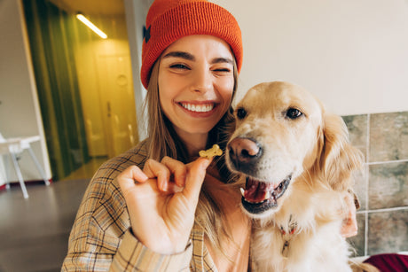 Food safety for dehydrated pet treats