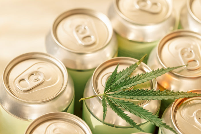Canned beverage with a green leaf