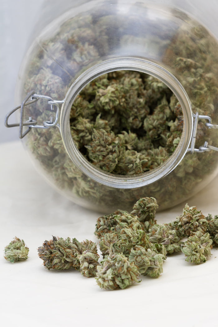 Small popcorn cannabis buds