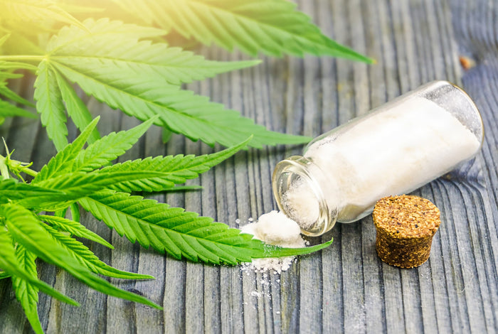 Cannabis leaves and a bottle of CBD powder